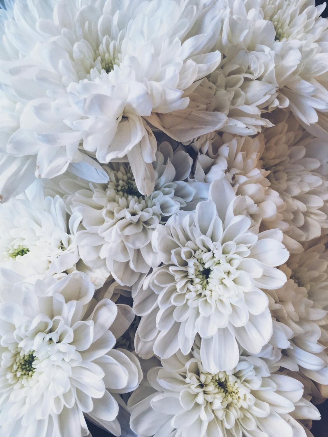 Apology flowers